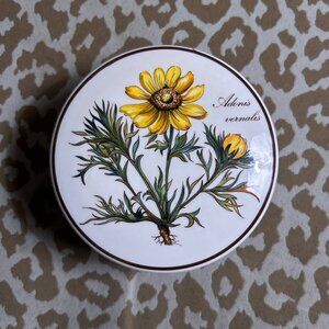 Vintage Botanial Villeroy & Boch Lidded Porcelain Tricket Box/Candy Dish